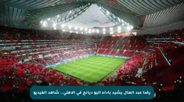 رضا عبد العال يشيد بأداء أليو ديانج في الأهلي.. شاهد الفيديو
